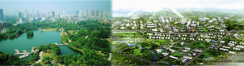 城市专项规划