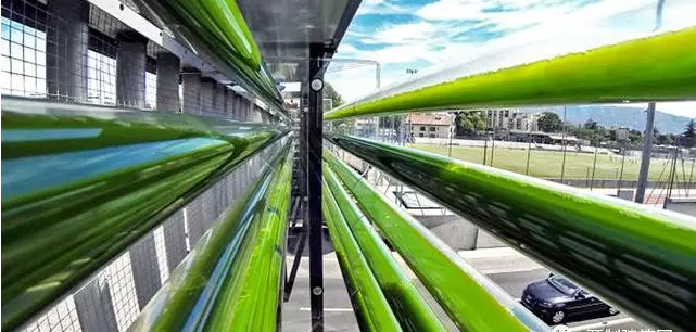 雾霾 建筑业