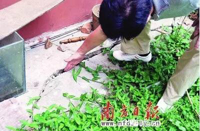 基坑事故 质量安全管理