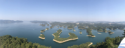 龙腾
