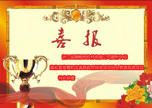政府投资项目
