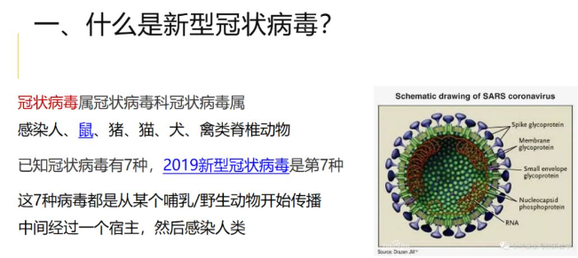 新型冠状病毒