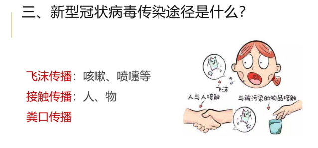新型冠状病毒
